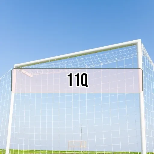 11q.com Estratégia